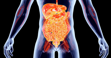 Dirtiest Organ in the Human Body