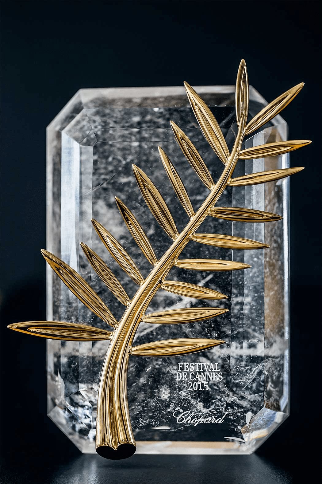 Complete Compilation: 21 Films Vying for the Prestigious Cannes Film Festival Prize 2023 Complete Compilation: 21 Films Vying for the Prestigious Cannes Film Festival Prize 2023