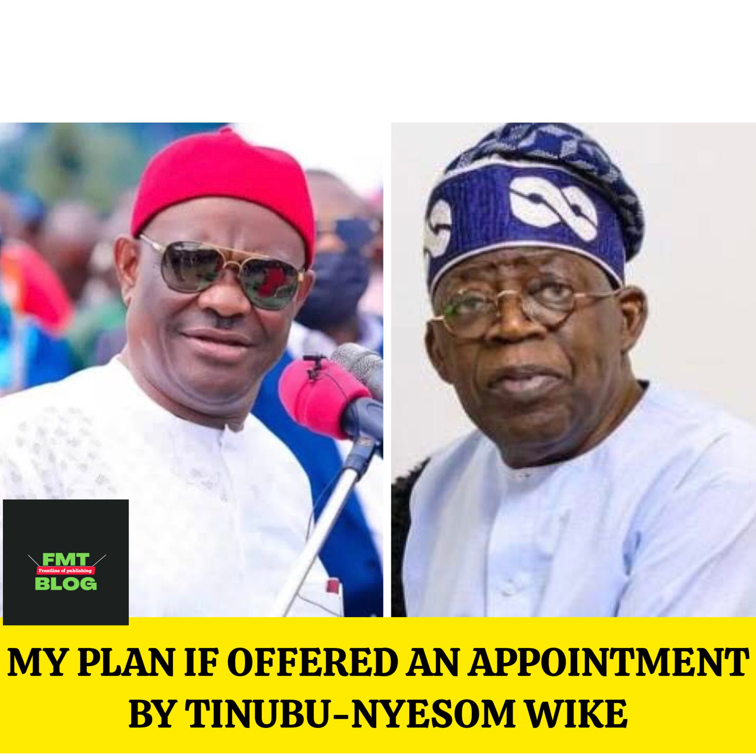 My Plan If offered an appointment by Tinubu- Nyesom Wike