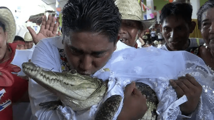 “I Love Her” – Mayor of Mexico Marries Crocodile(video)