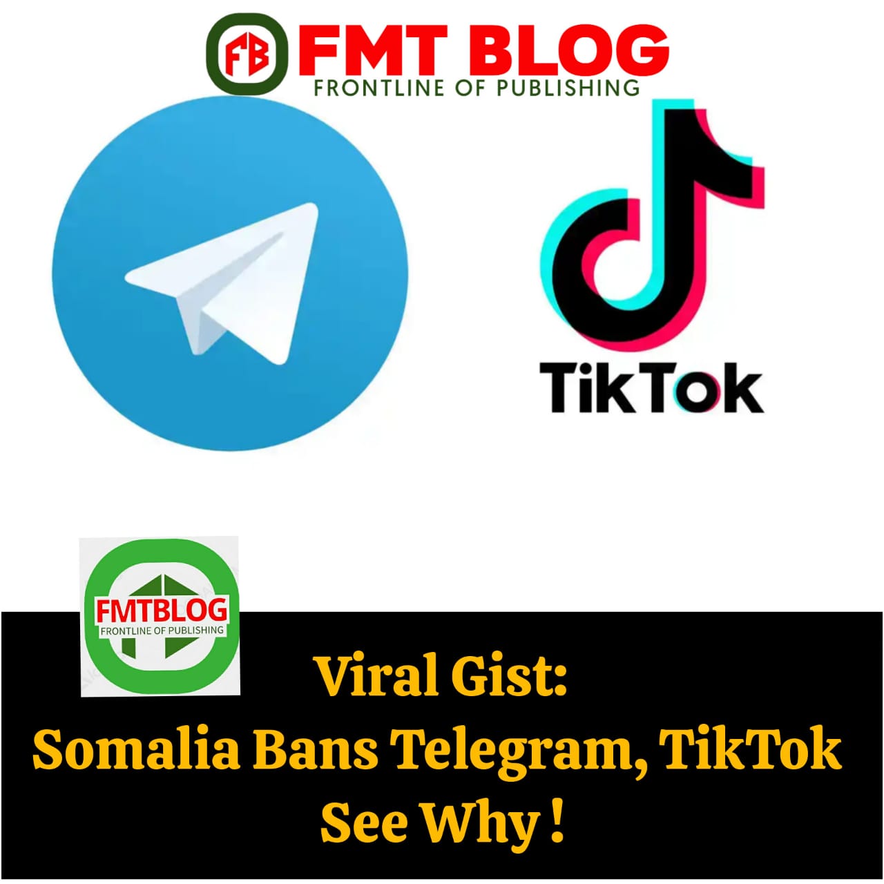 Somalia Bans Telegram, TikTok. See Why!