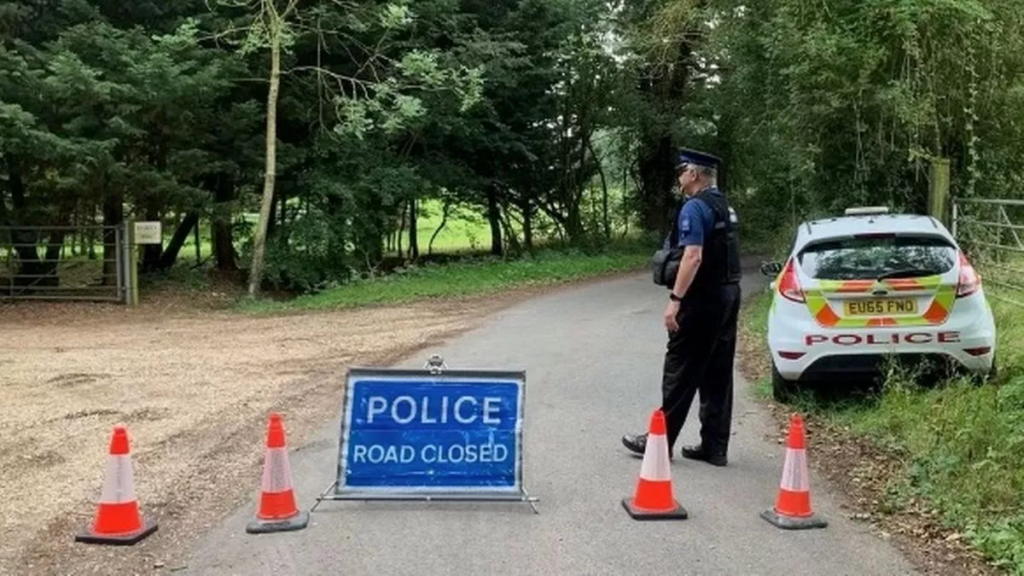 Plane Crashes Down After Engine Stops While On Air Near London Stansted Airport