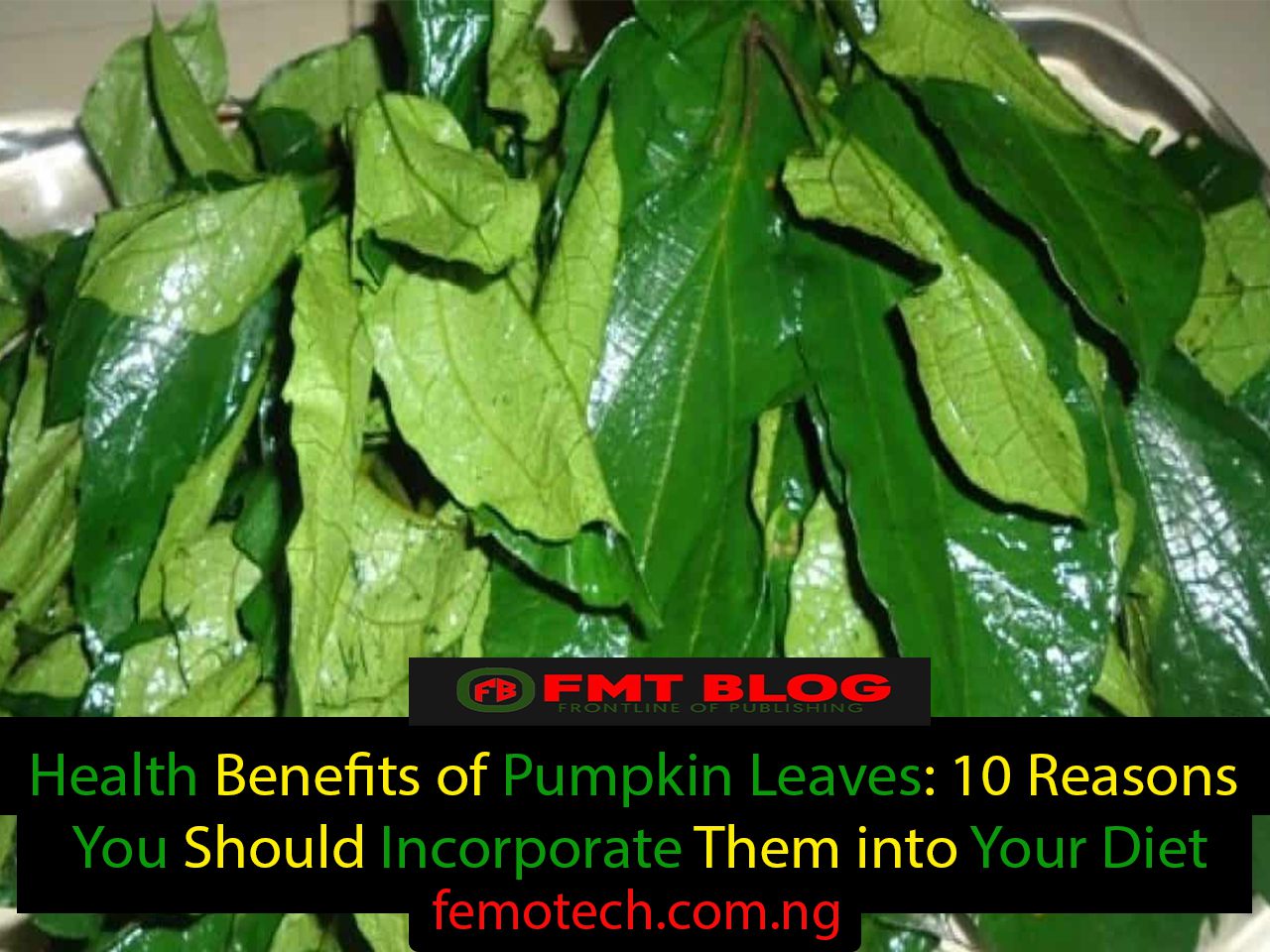 Health Benefits of Pumpkin Leaves: 10 Reasons You Should Incorporate It into Your Diet