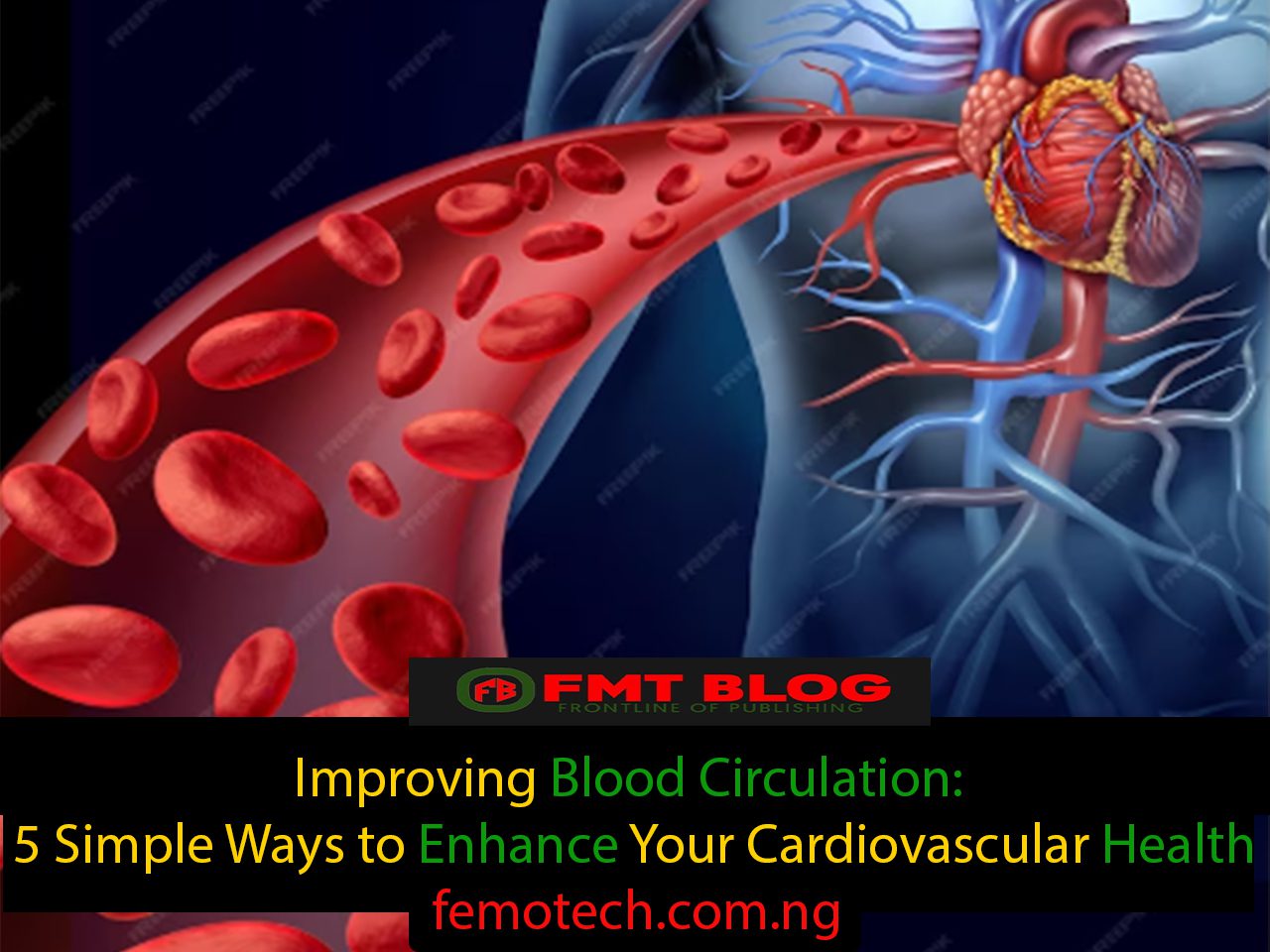 Improving Blood Circulation: 5 Simple Ways to Enhance Your Cardiovascular Health