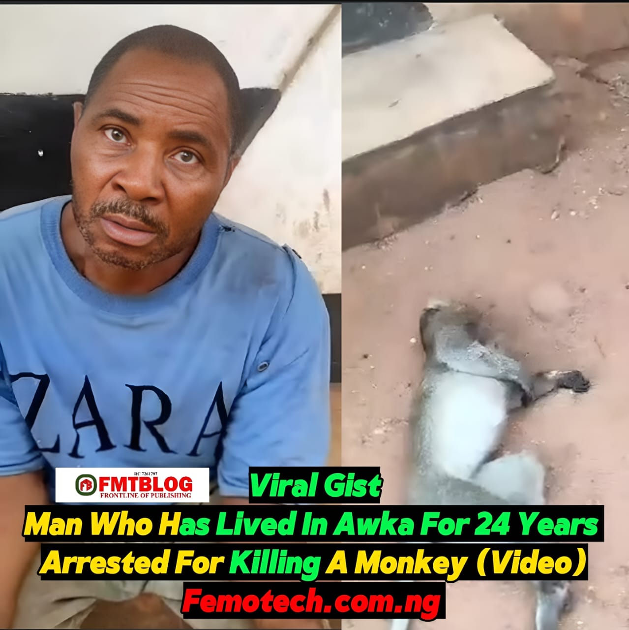 Man Who Has Lived In Awka For 24 Years Arrested For Killing A Monkey (Video)