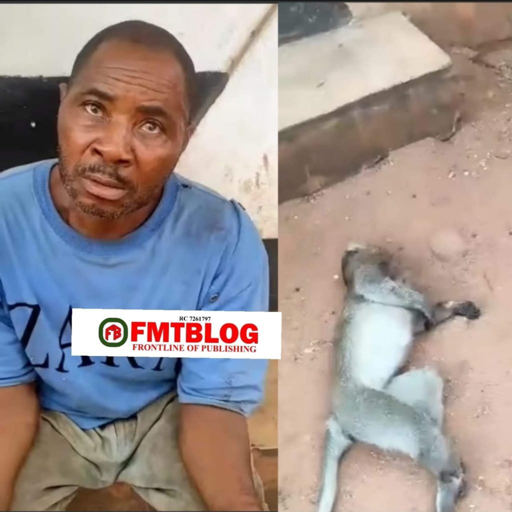 Man Who Has Lived In Awka For 24 Years Arrested For Killing A Monkey 