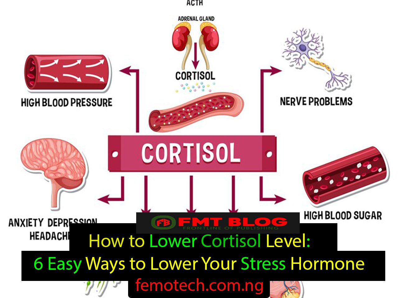 How to Lower Cortisol Level: 6 Easy Ways to Lower Your Stress Hormone