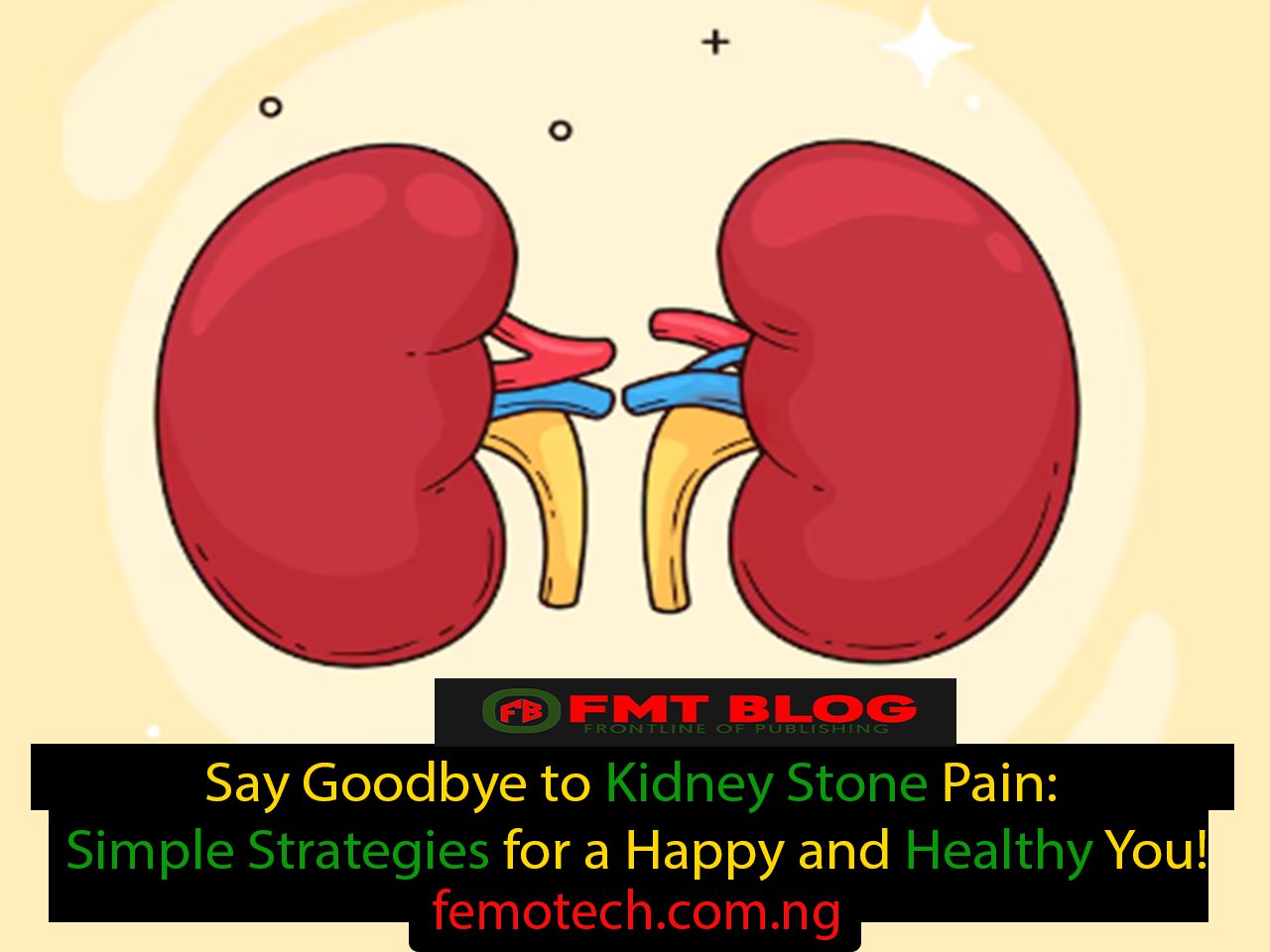 Say Goodbye to Kidney Stone Pain: Simple Strategies for a Happy and Healthy You!