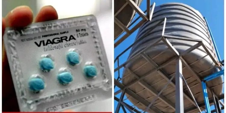 18-Year-Old After Putting Viagra In Church Water Tanks