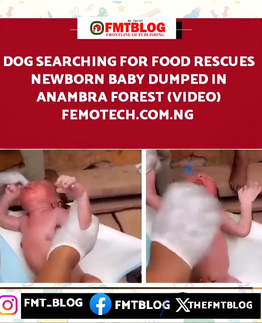 Dog Searching For Food Rescues Newborn Baby Dumped In Anambra Forest (VIDEO)