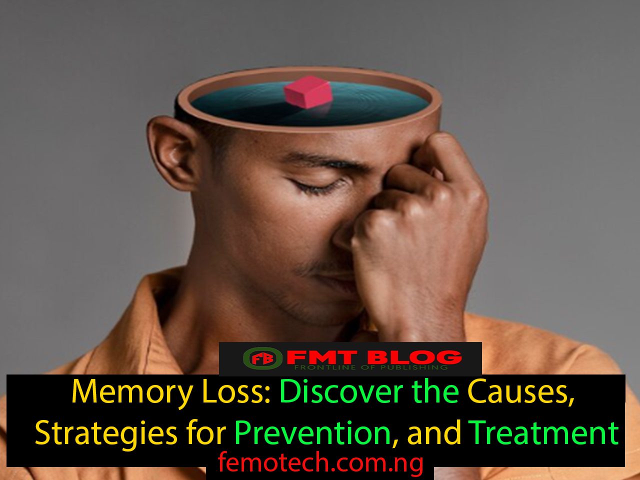 Memory Loss: Discover the Causes, Strategies for Prevention, and Treatment