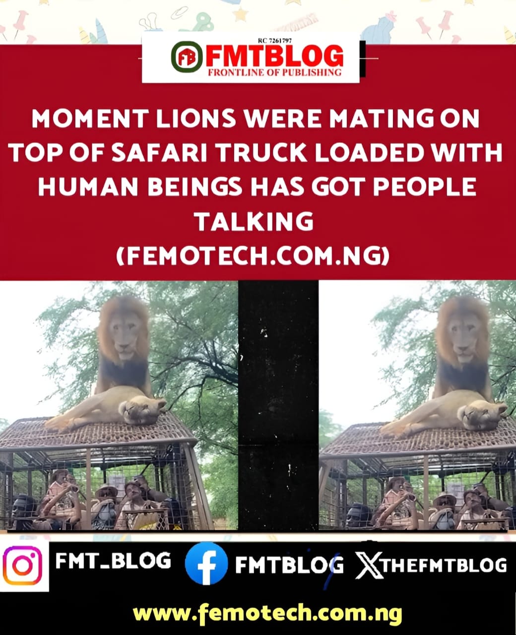 Moment Lions Were Mating On Top Of Safari Truck Loaded With Human Beings Has Got People Talking