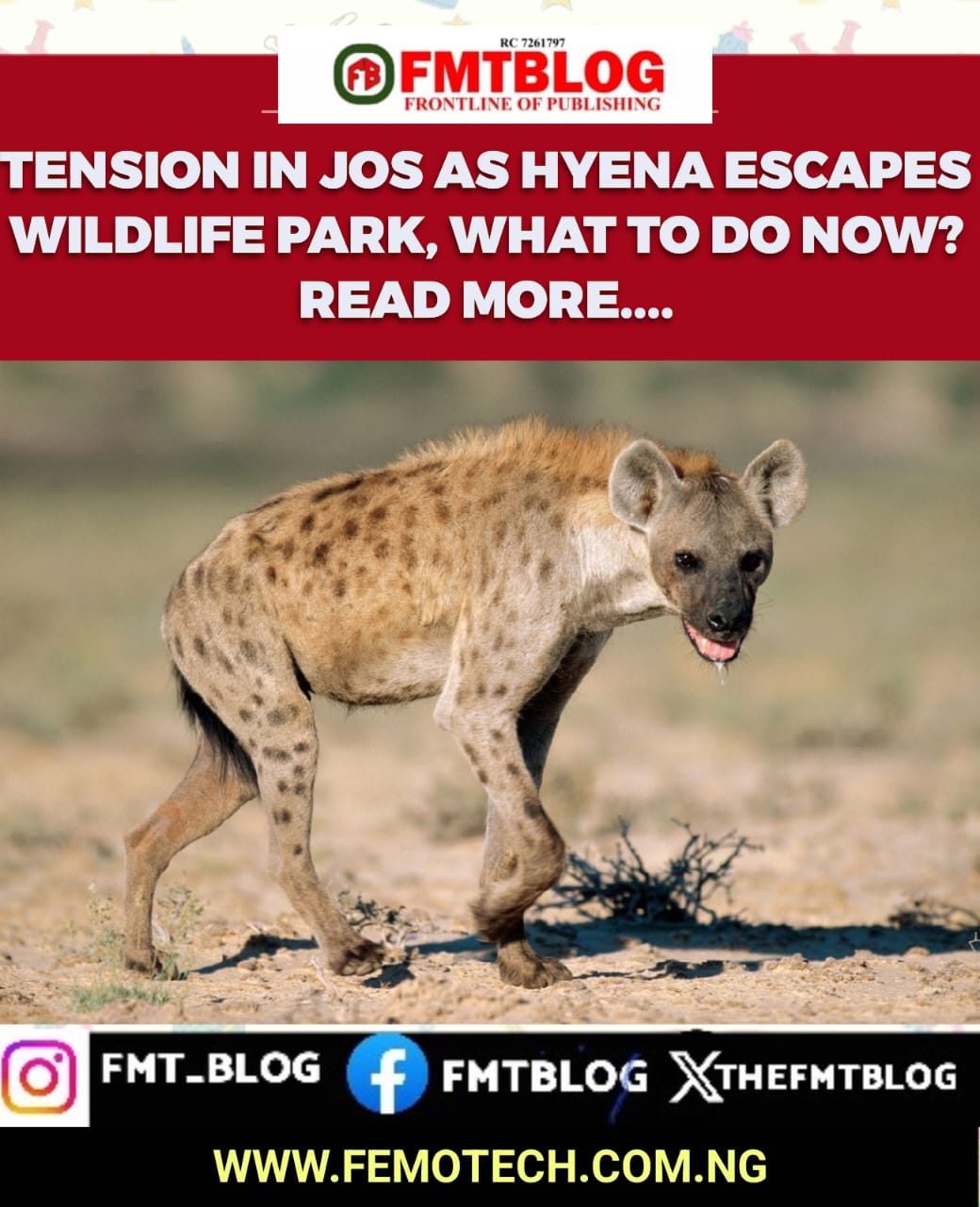 Tension In Jos As Hyena Escapes Wildlife Park, What To Do Now?