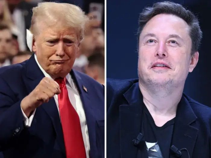 Trump appoints Elon Musk