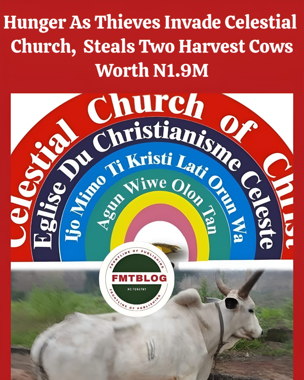 Hunger As Thieves Invade Celestial Church, Steals Two Harvest Cows Worth N1.9M