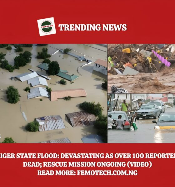 Niger state flood