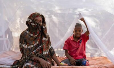 Africa Steps Up the Fight to End Malaria for Good