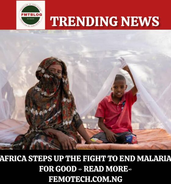 Africa Steps Up the Fight to End Malaria for Good