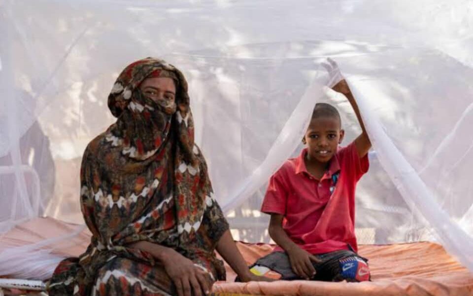 Africa Steps Up the Fight to End Malaria for Good