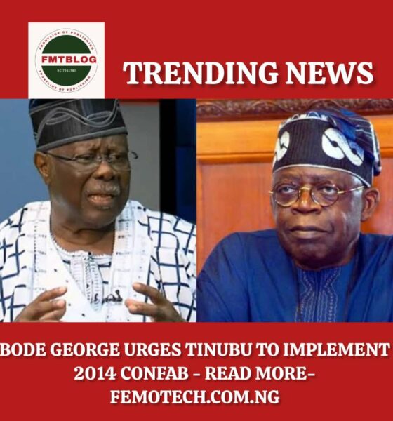 Bode George Urges Tinubu to Implement 2014 Confab 