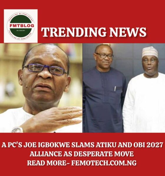 Joe Igbokwe