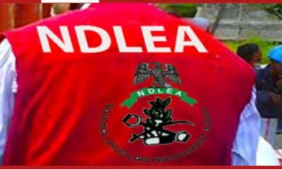 NDLEA