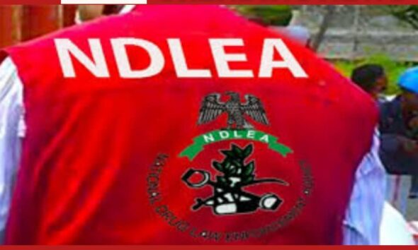 NDLEA