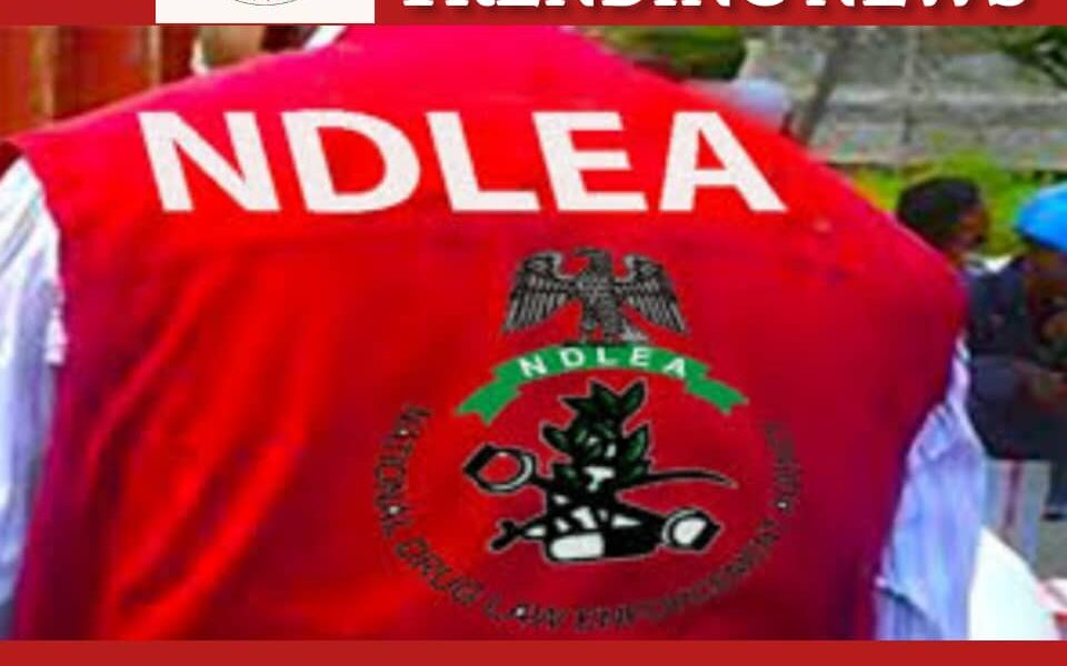 NDLEA