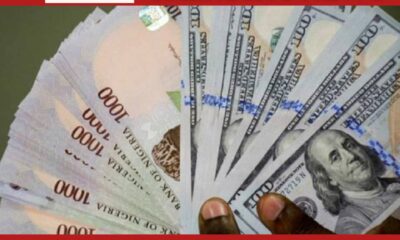 Naira Falls Against Dollar at Official Market