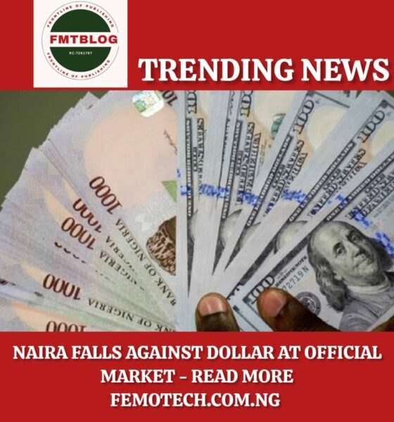 Naira Falls Against Dollar at Official Market