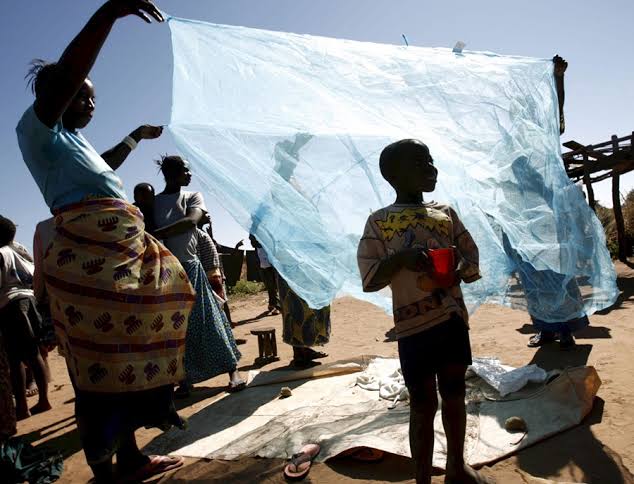 Africa Steps Up the Fight to End Malaria for Good