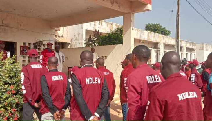 NDLEA