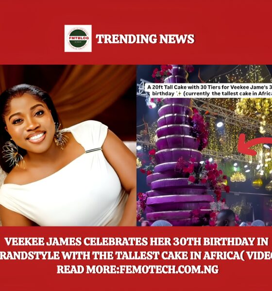 Veekee James Birthday cake
