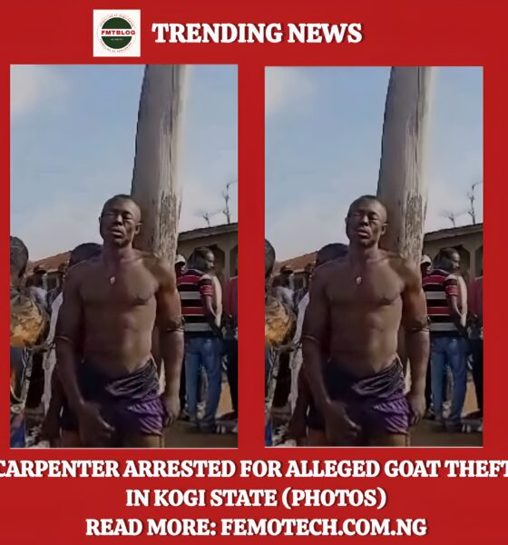 Carpenter Arrested For Alleged Goat Theft In Kogi State