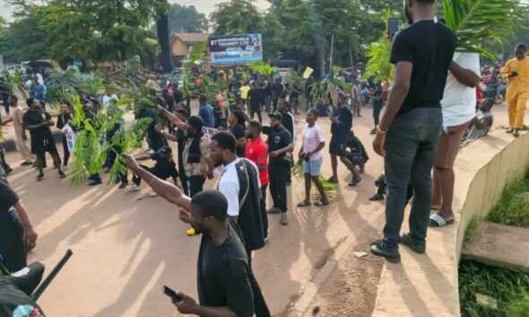 Benue Killings