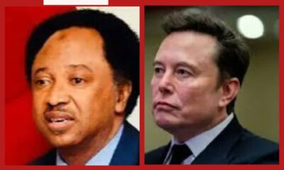Shehu Sani Advises Elon Musk to Stay Away from American Politics and Reconnect with His Roots
