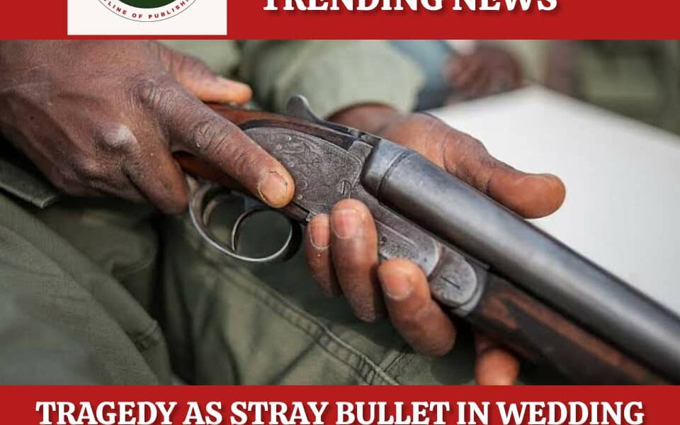 Tragedy as Stray Bullet in Wedding Ceremony Kills 10-Year-Old in Katsina