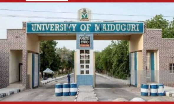 University of Maiduguri
