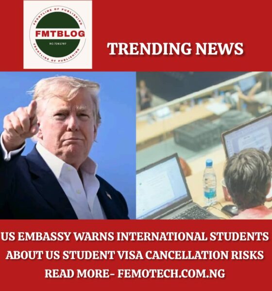 international students